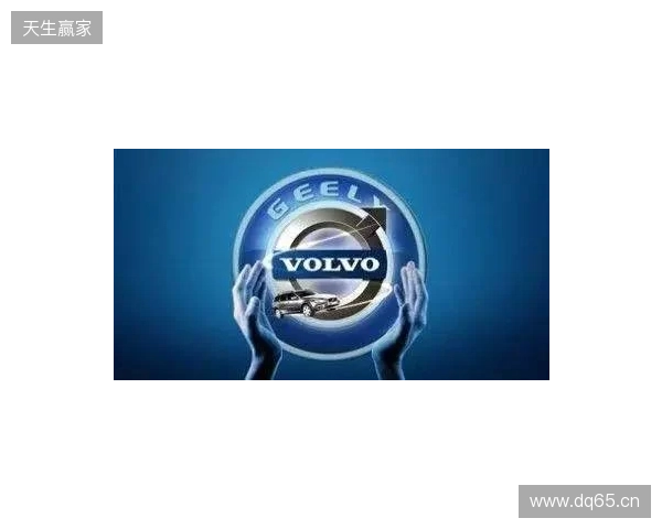 IEM里约 2026：大开大合！NAVI 2-1 战胜B8